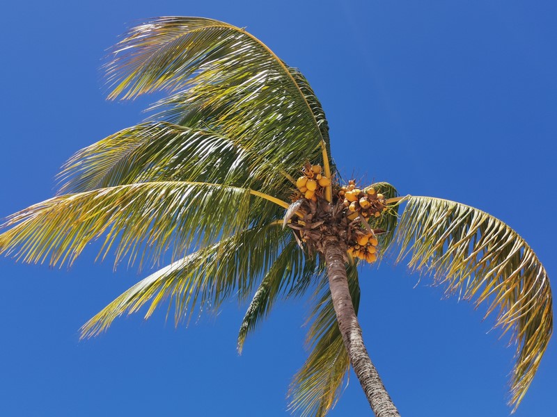 IMG_20220306_110809 (Kopiowanie).jpg