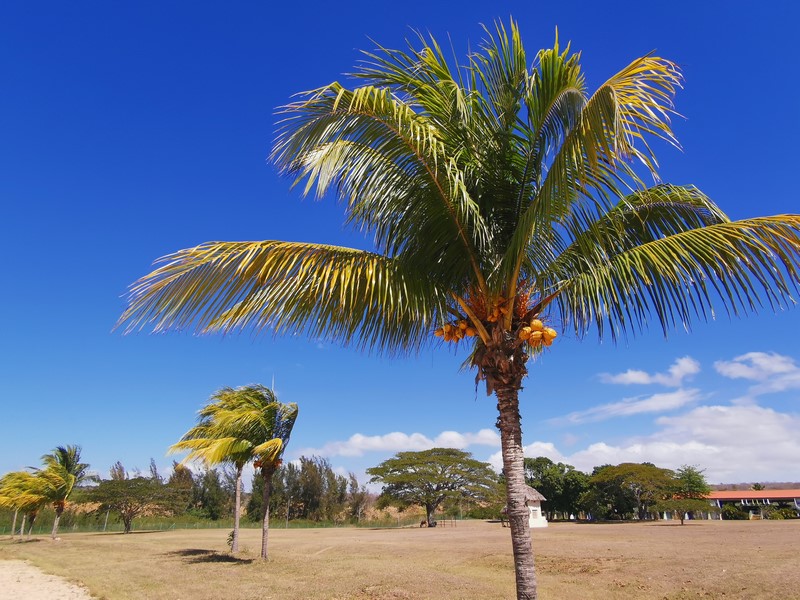 IMG_20220306_110836 (Kopiowanie).jpg