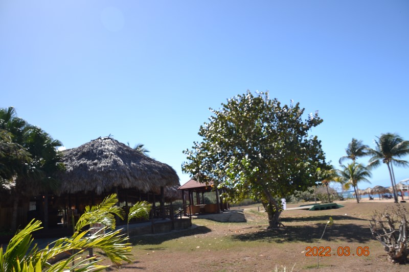 DSC_0037 (Kopiowanie).JPG