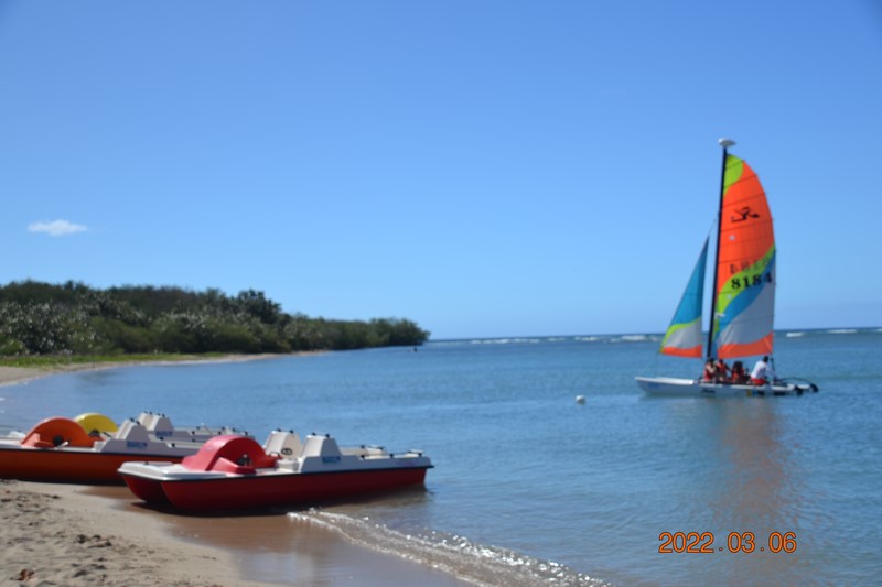 DSC_0043 (Kopiowanie).JPG