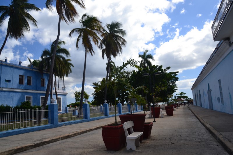 DSC_0131 (Kopiowanie).JPG