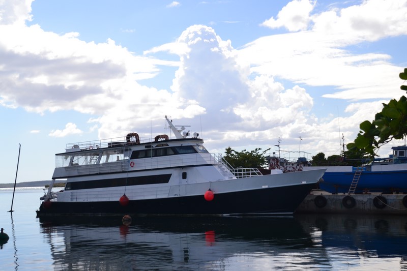 DSC_0137 (Kopiowanie).JPG