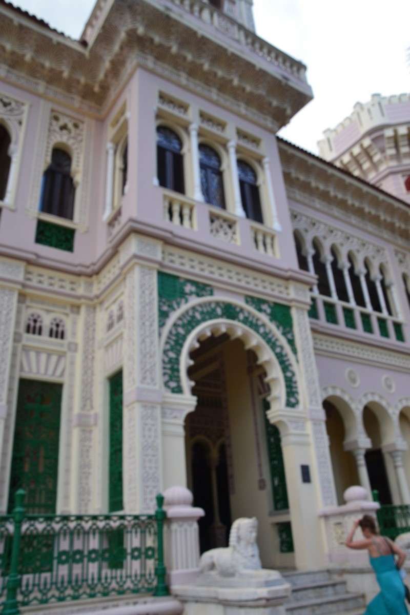 DSC_0206 (Kopiowanie).JPG