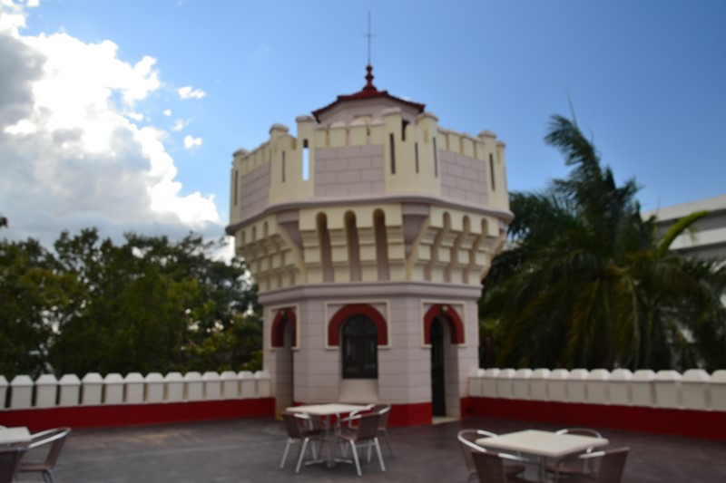 DSC_0214 (Kopiowanie).JPG