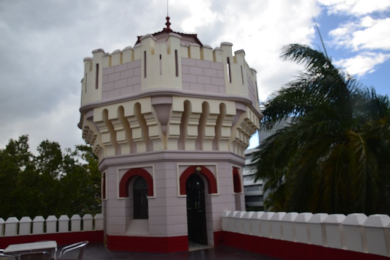 DSC_0229 (Kopiowanie).JPG