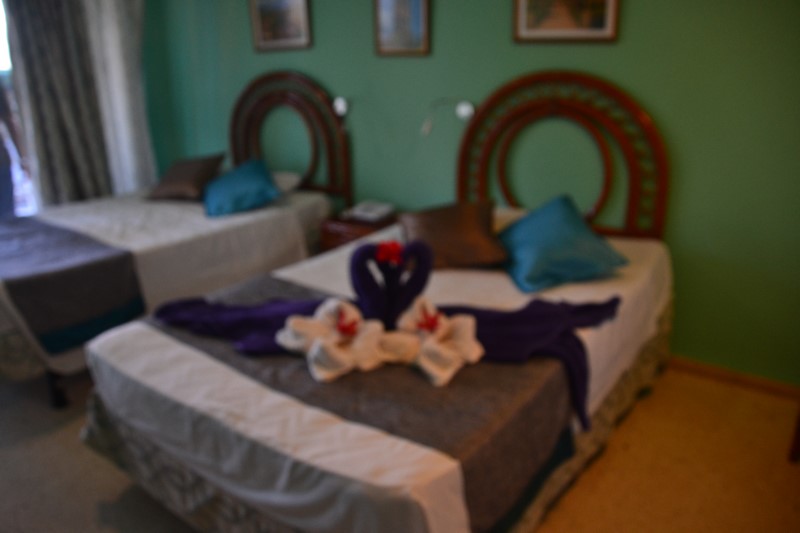 DSC_0312 (Kopiowanie).JPG