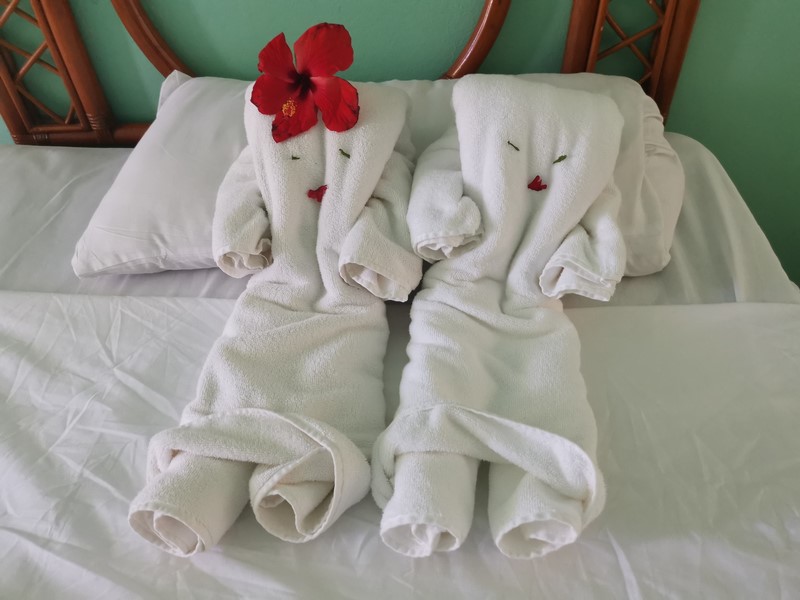 IMG_20220307_140631 (Kopiowanie).jpg