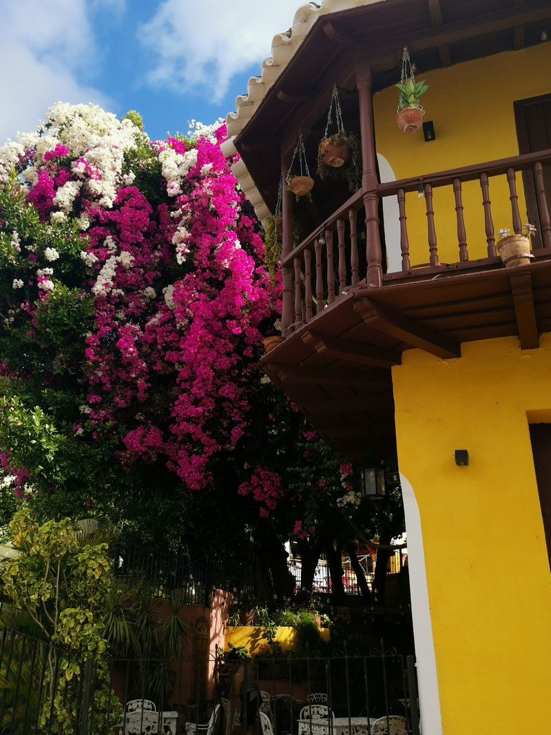 IMG_20220307_090453 (Kopiowanie).jpg