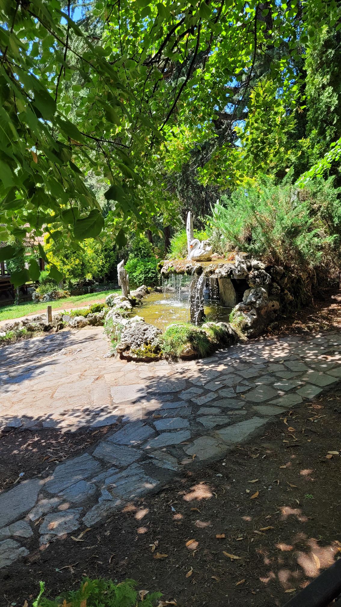 20220722_114206 (Copy) (2).jpg