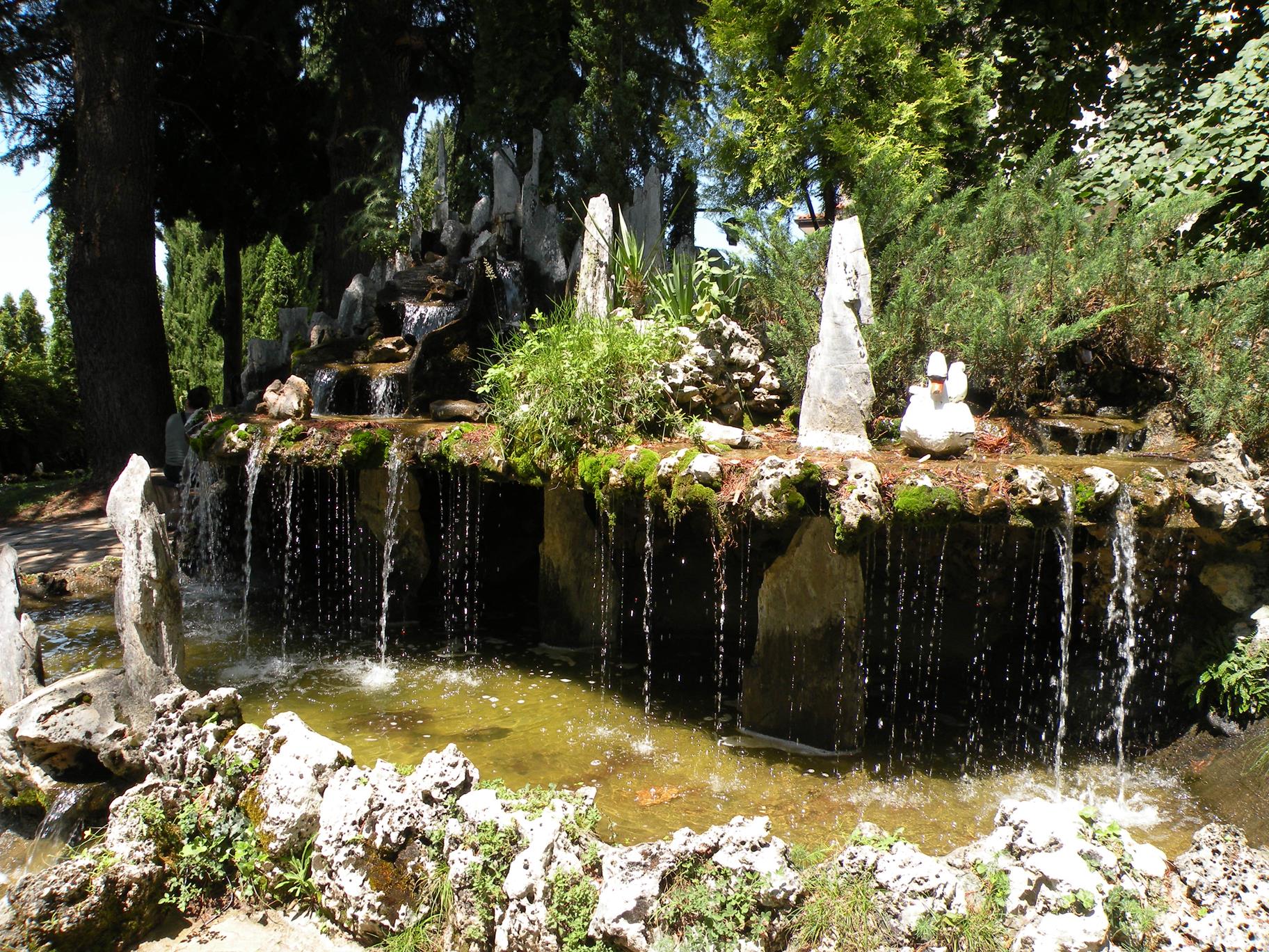 DSCN0098 (Copy) (2).JPG