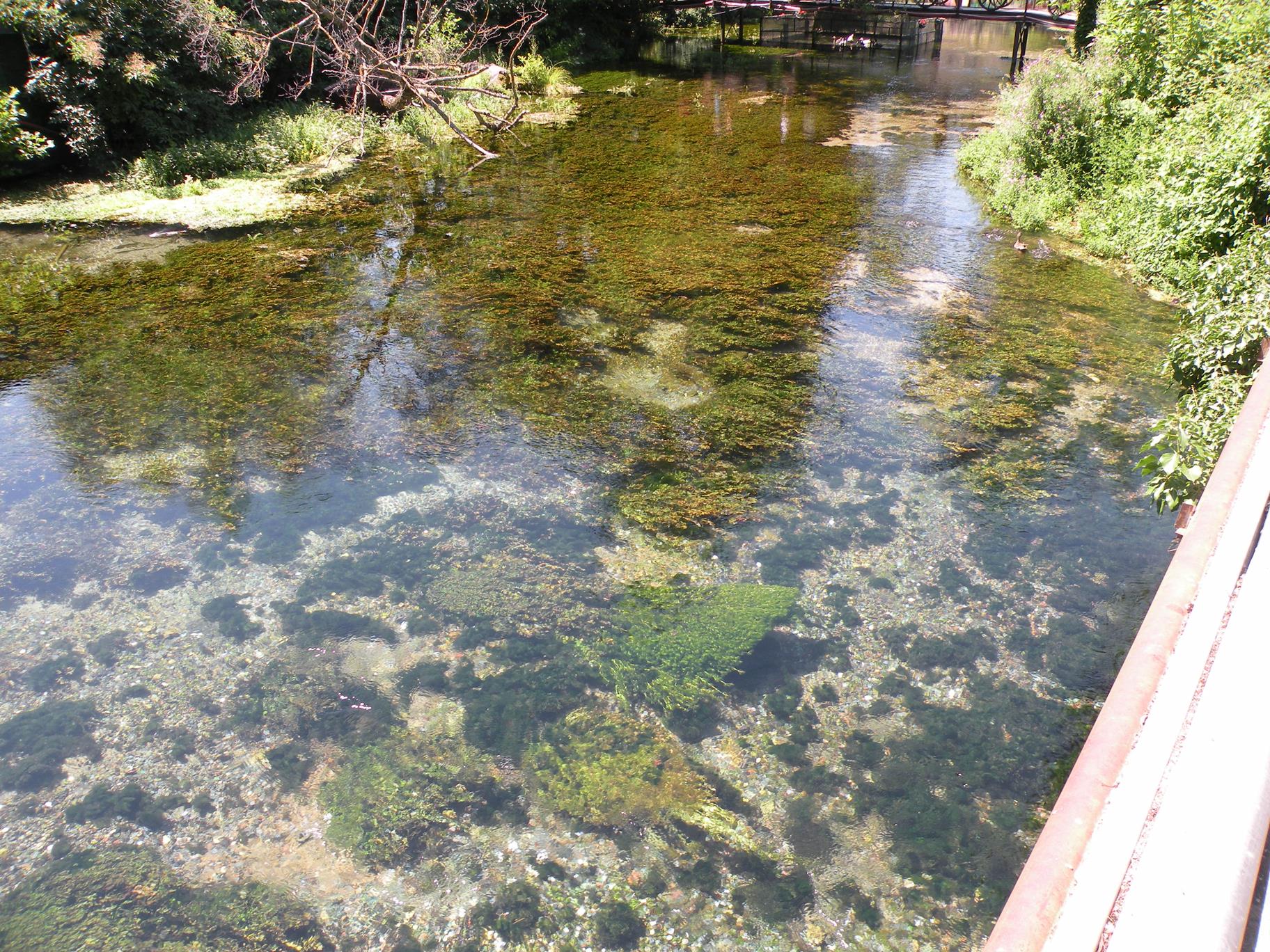 DSCN0065 (Copy) (2).JPG