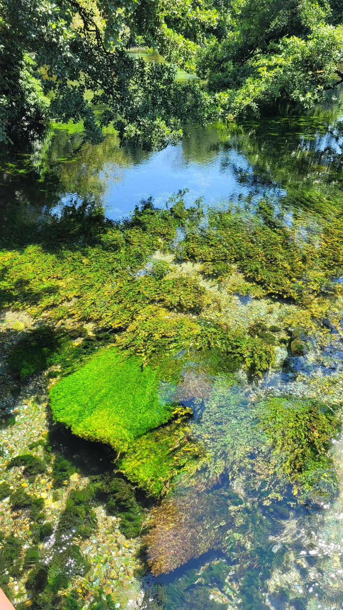 20220722_122034 (Copy) (2).jpg