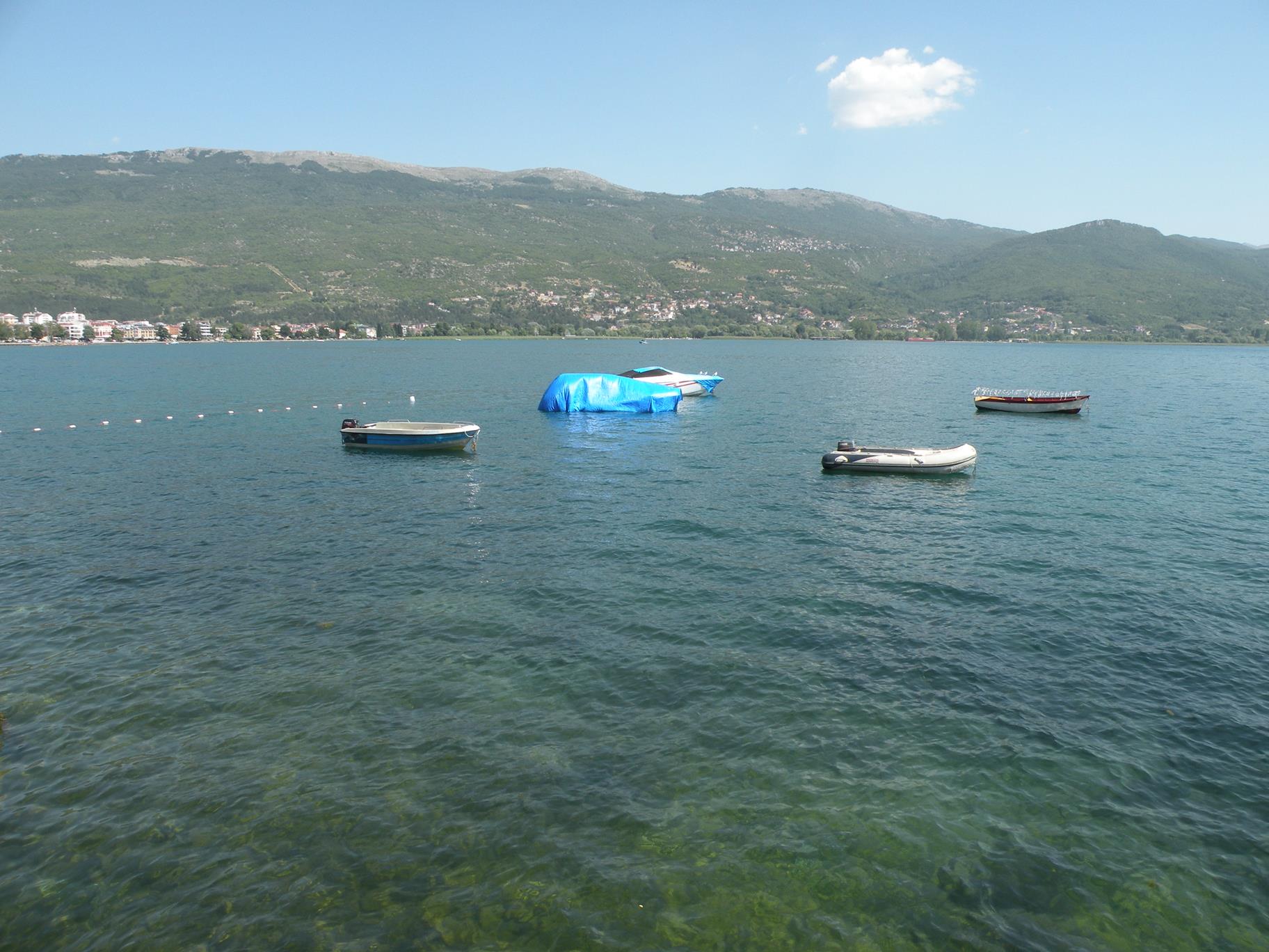 DSCN0121 (Copy) (2).JPG