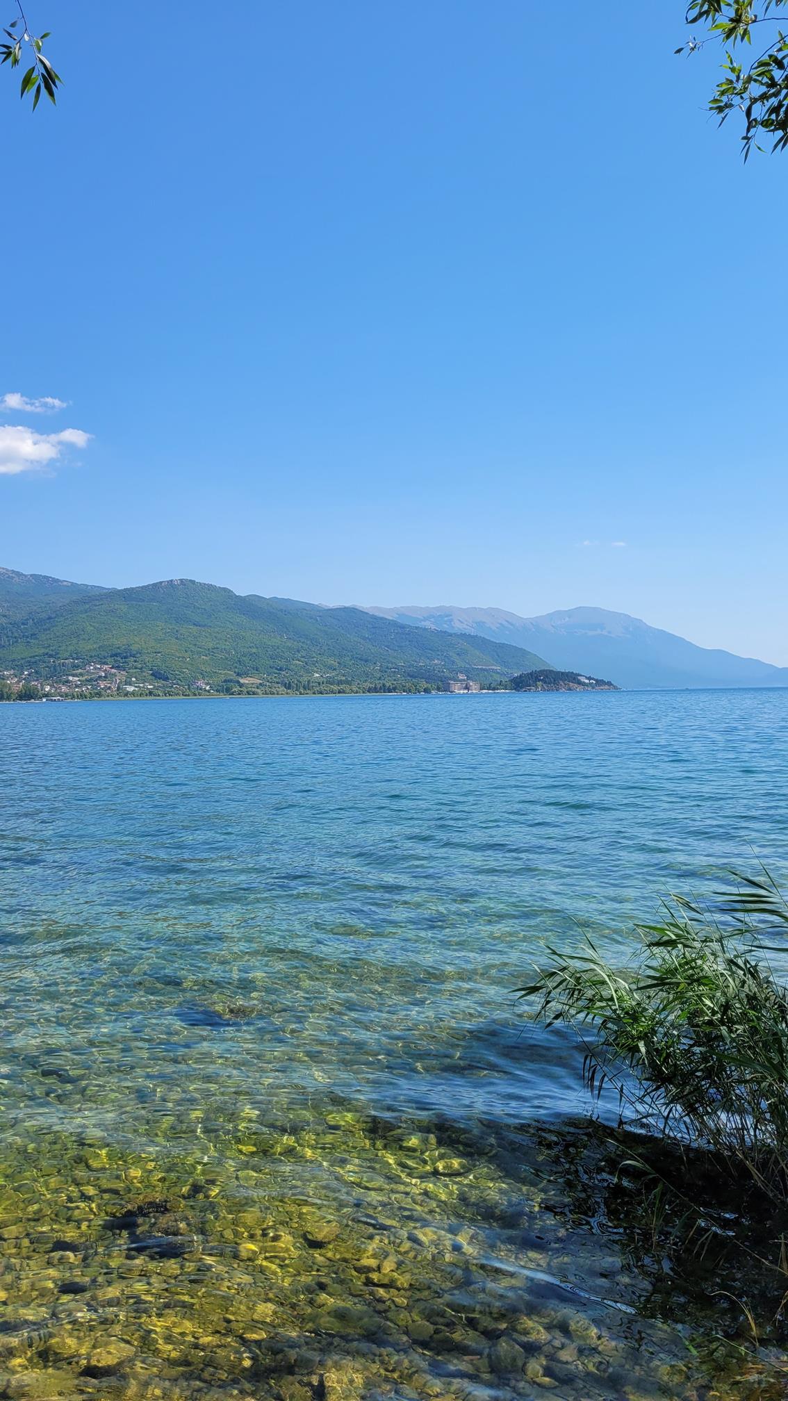 20220722_150827 (Copy) (2).jpg