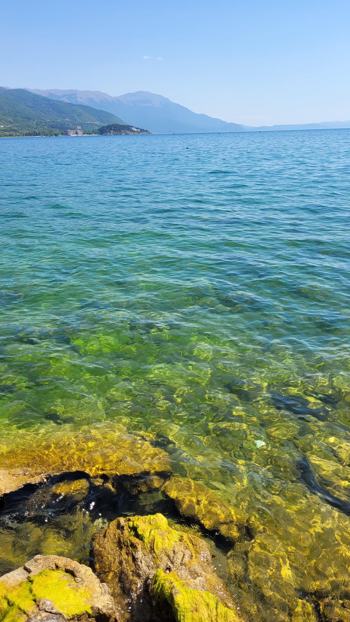 20220722_150934 (Copy).jpg