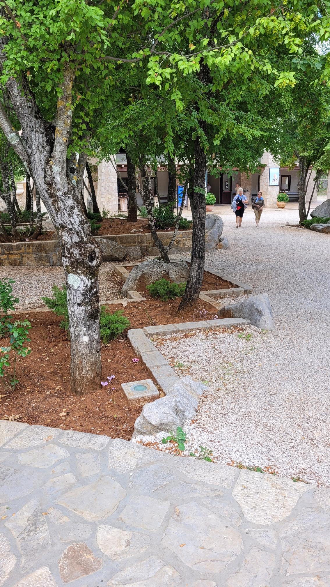 20220915_104320 (Copy).jpg