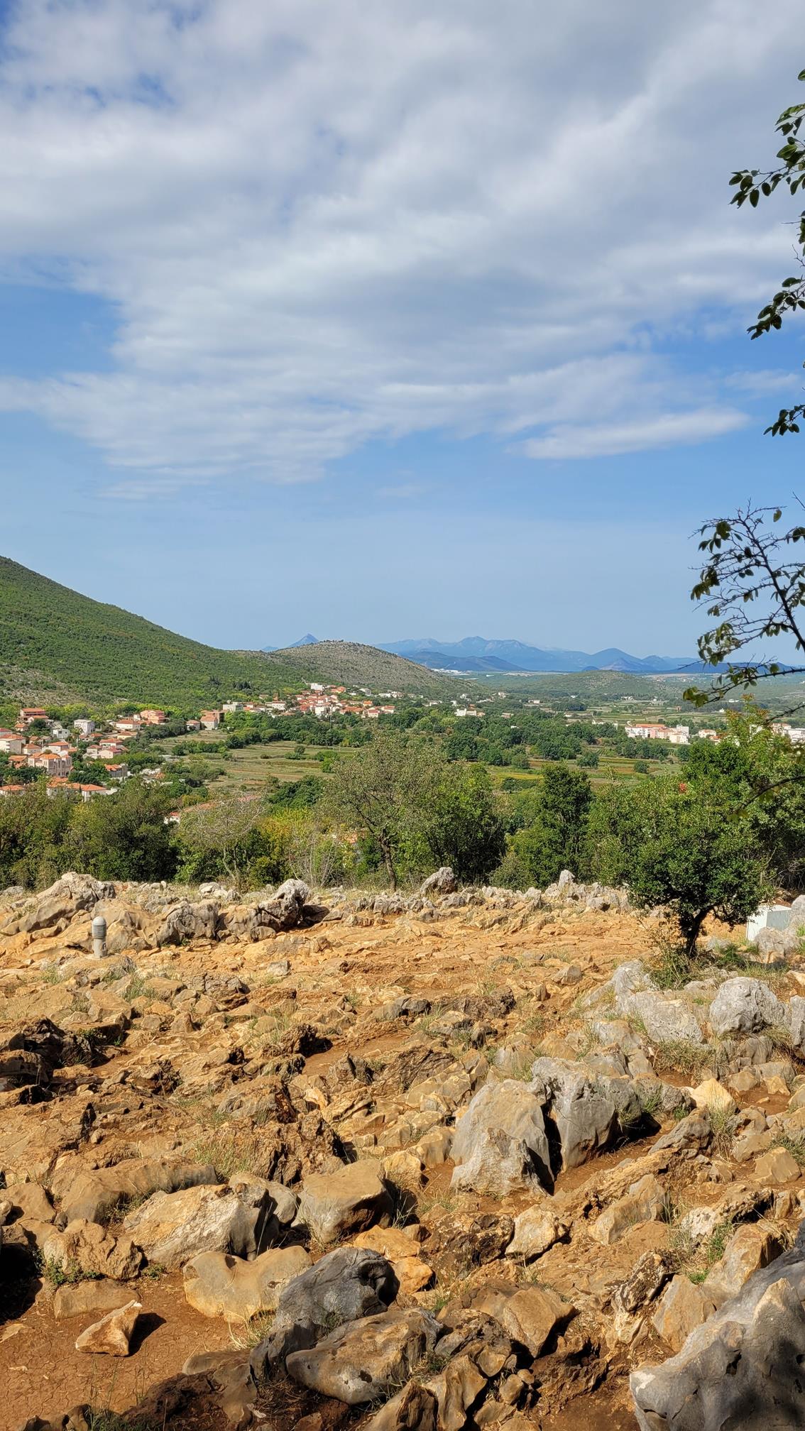 20220915_110539 (Copy).jpg