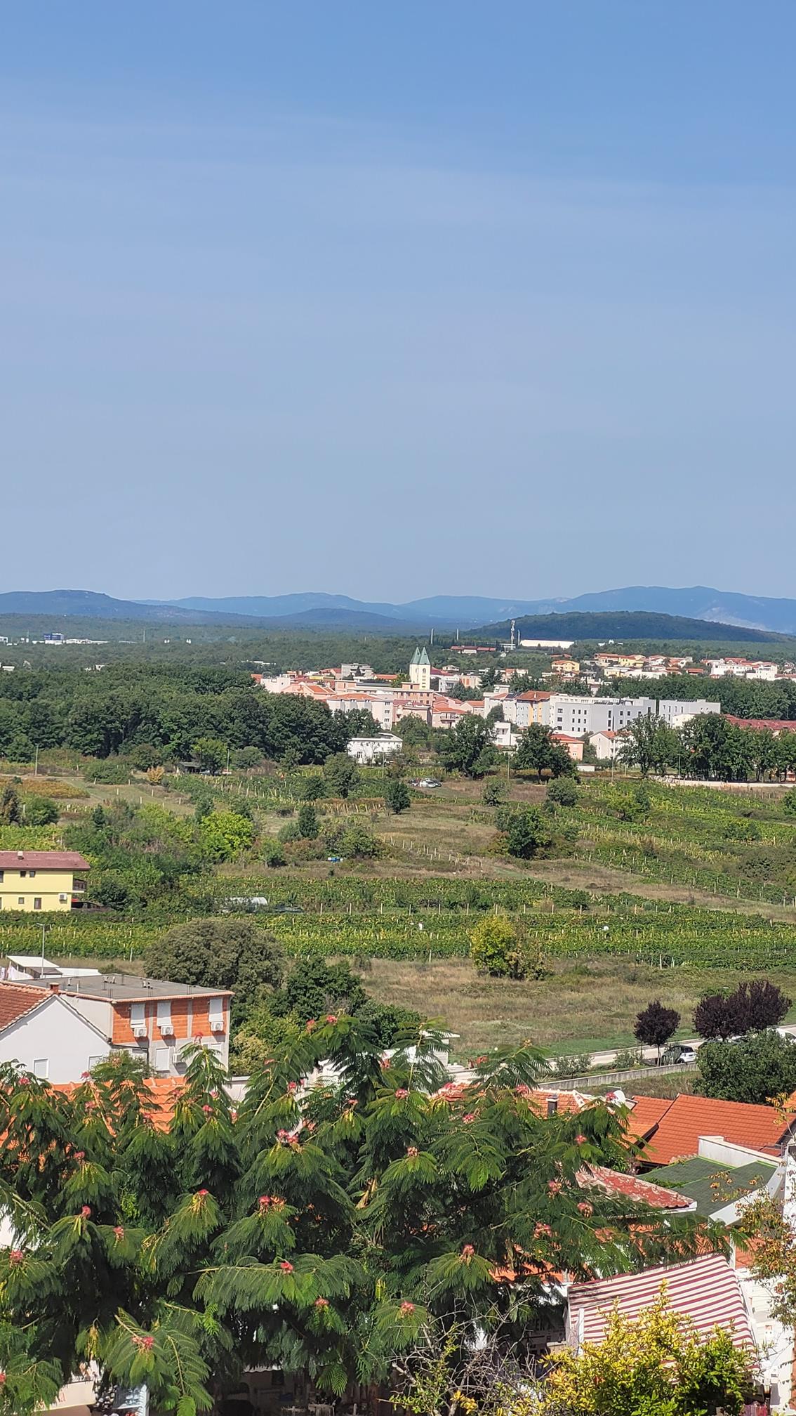 20220915_112447 (Copy).jpg