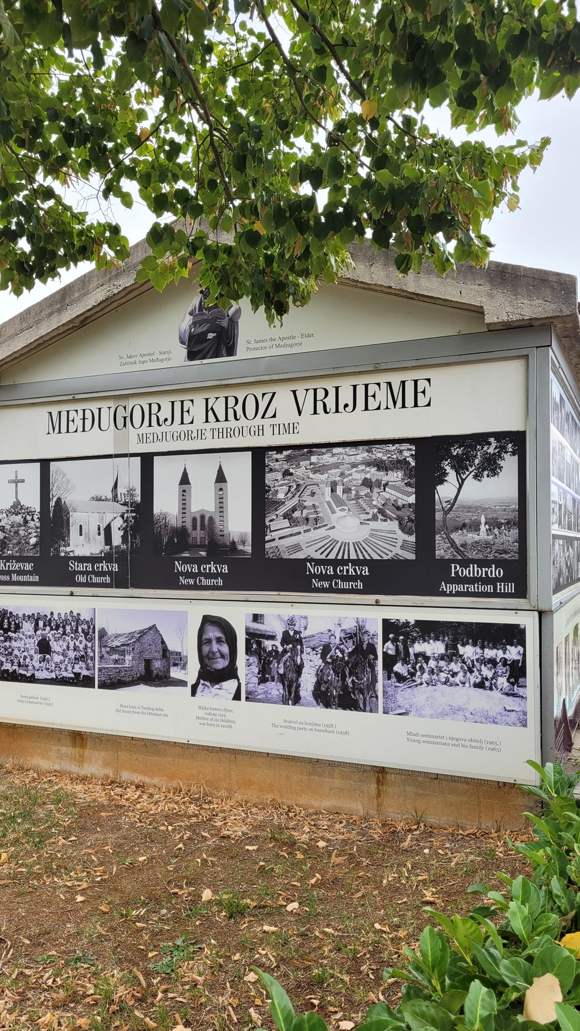 20220915_124131 (Copy).jpg