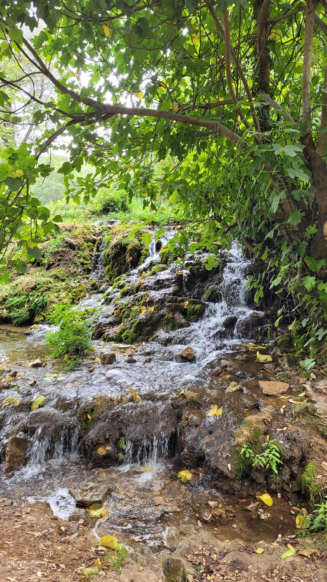 20220915_162558 (Copy).jpg