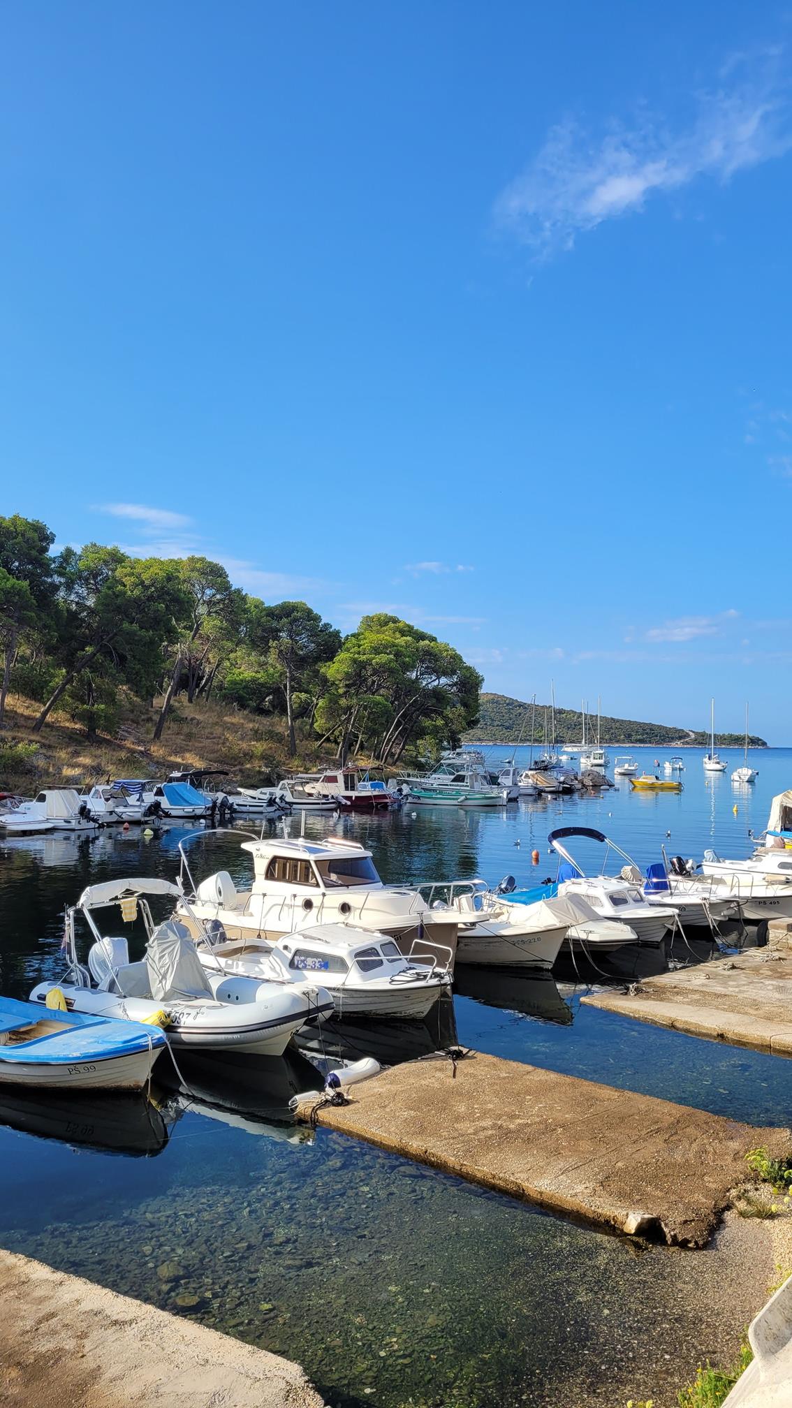 20220917_090215 (Copy).jpg