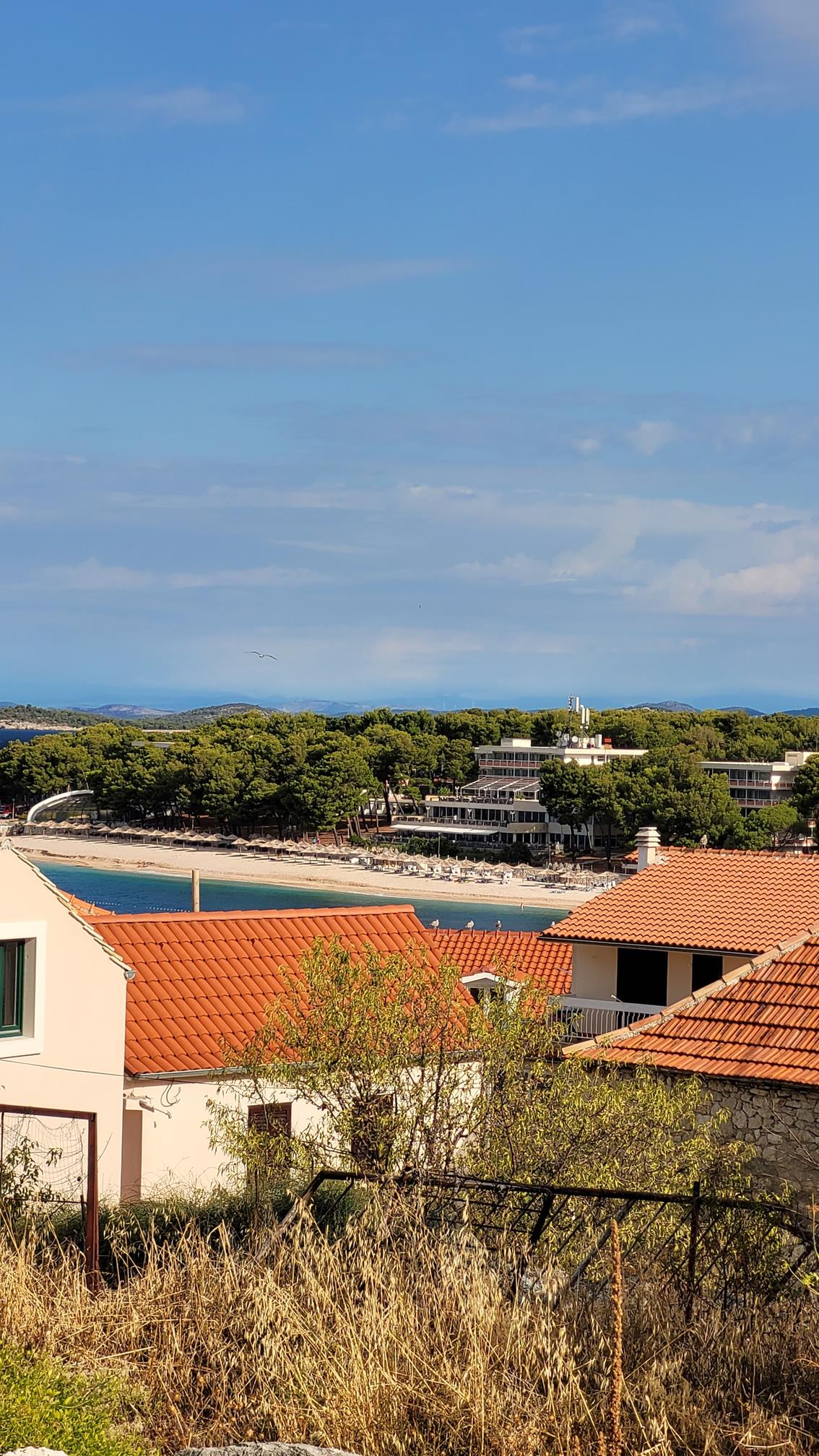 20220917_092639 (Copy).jpg