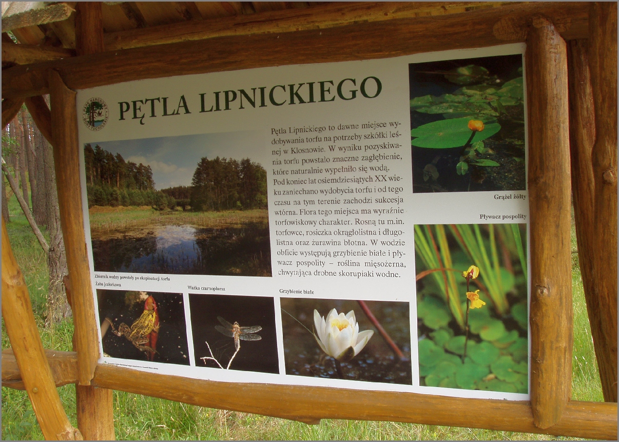 2-P7243685.JPG 2-P7243685.JPG