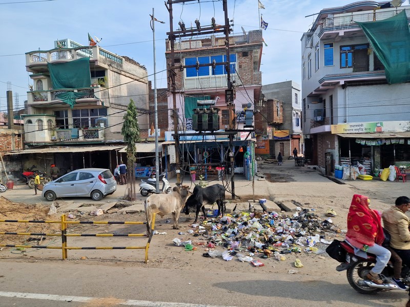 20231221_103049 (Kopiowanie).jpg