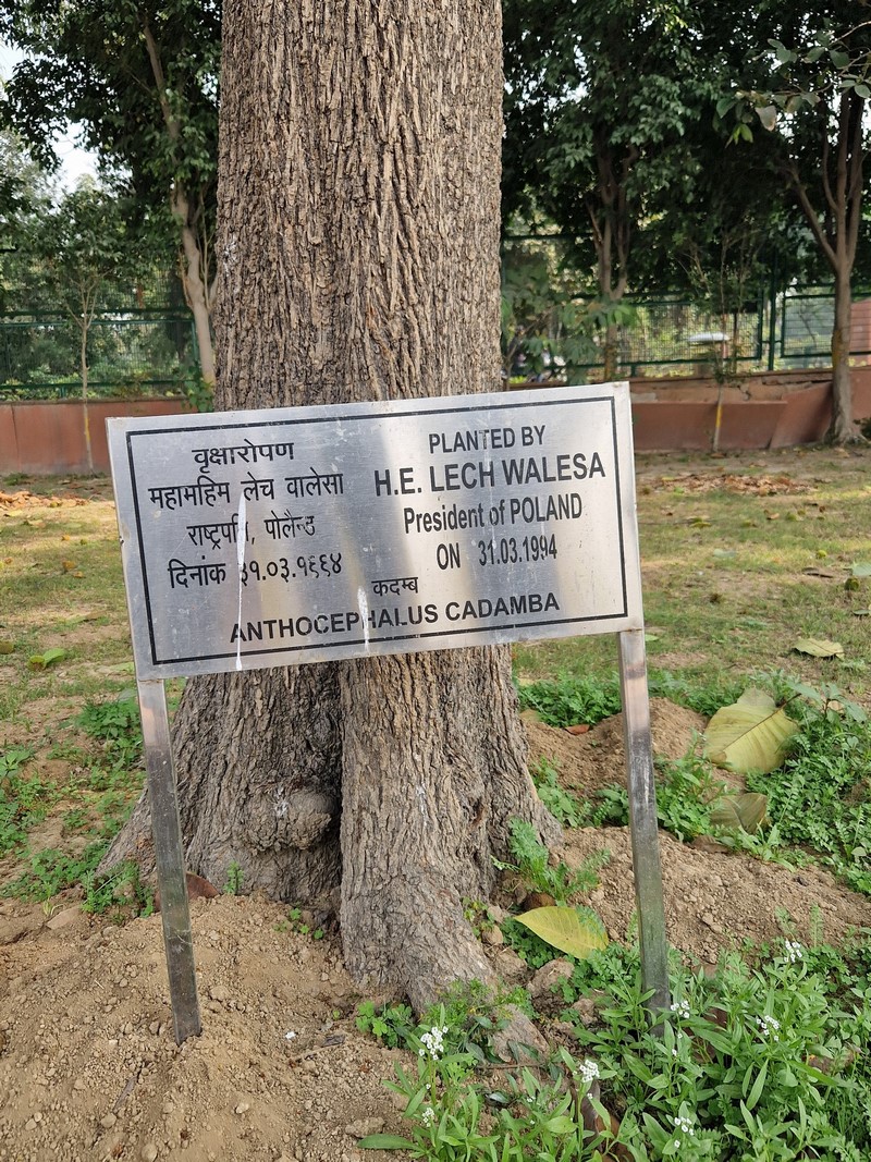 20231215_124115 (Kopiowanie) (Kopiowanie).jpg