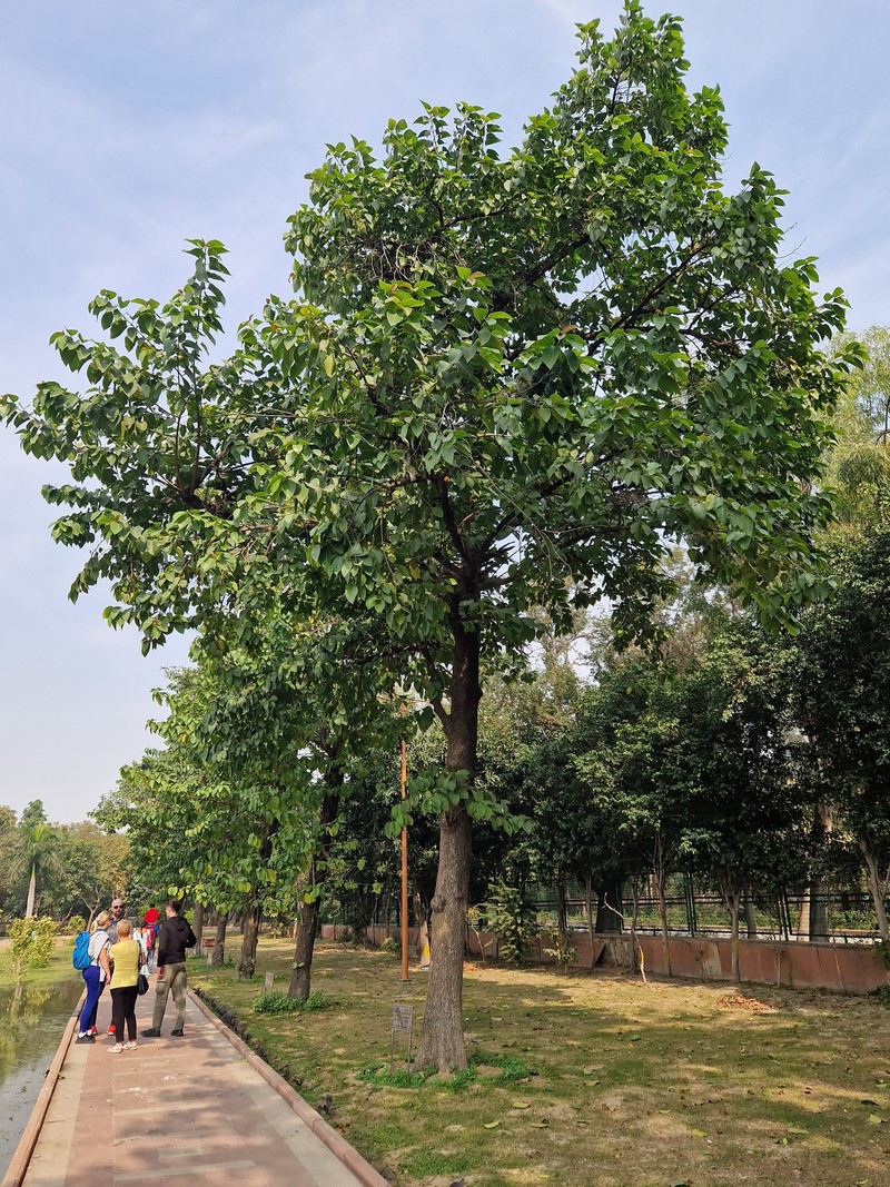 20231215_124149 (Kopiowanie) (Kopiowanie).jpg