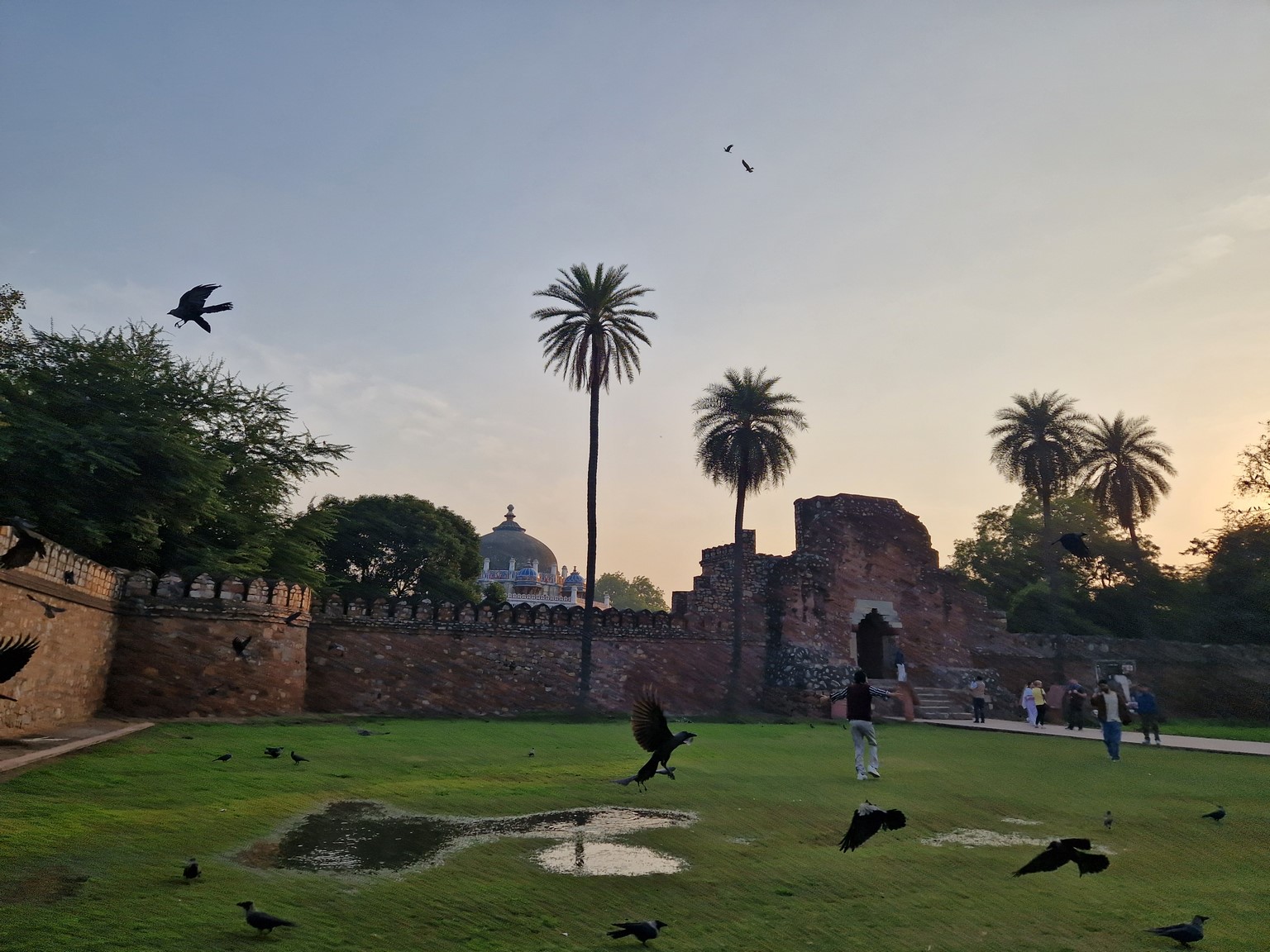 20231215_163011 (Kopiowanie).jpg