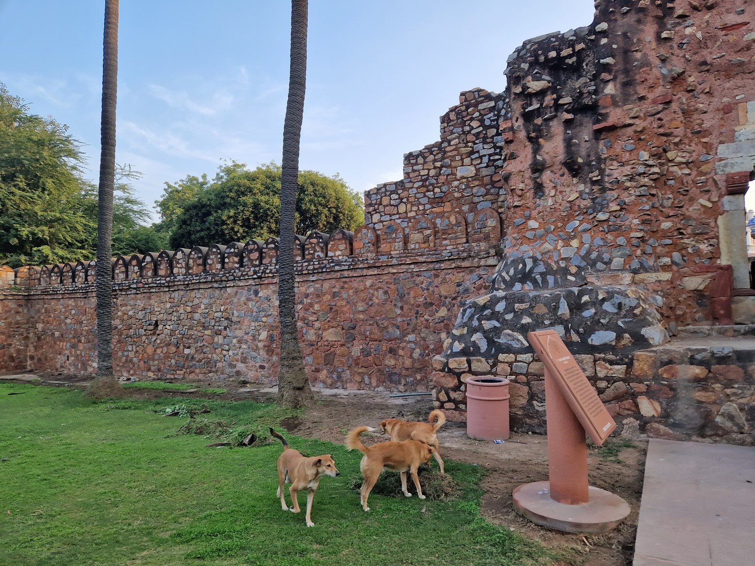 20231215_163102 (Kopiowanie).jpg