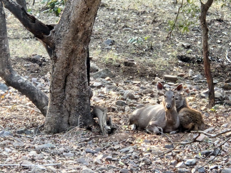 20231218_154108 (Kopiowanie).jpg