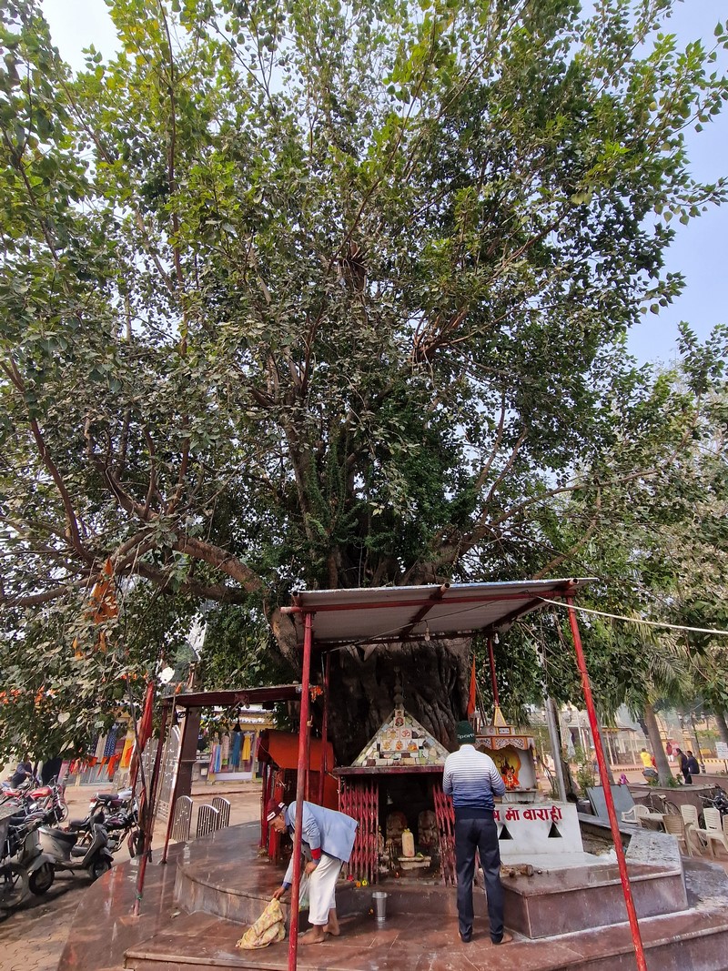 20231223_111926 (Kopiowanie).jpg