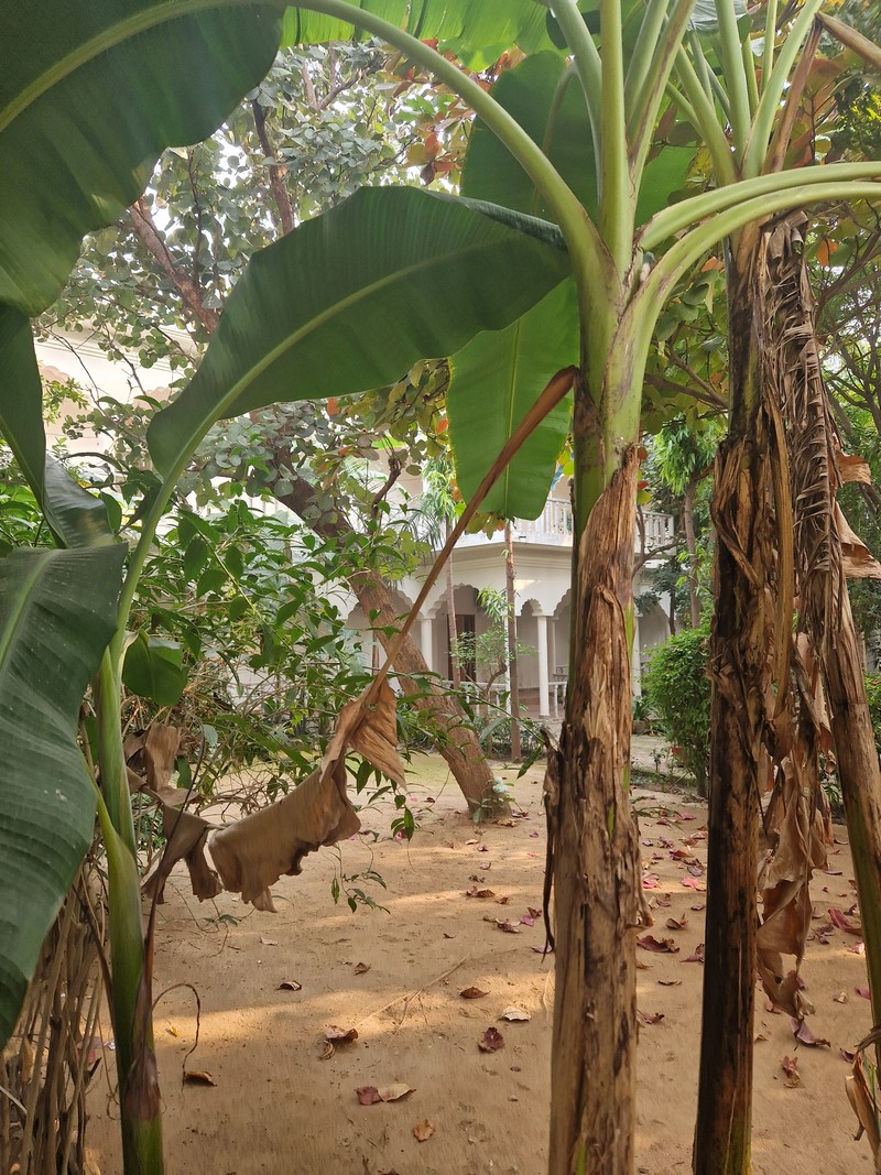 20231223_150230 (Kopiowanie).jpg