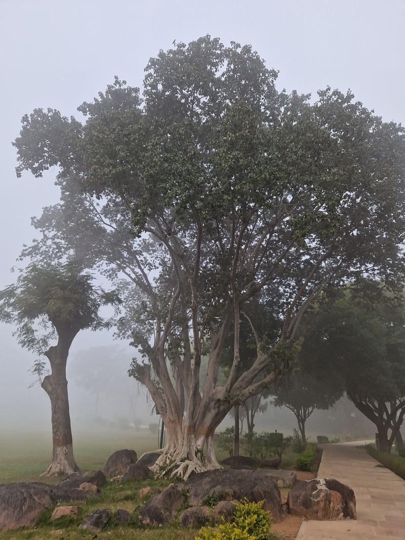 20231224_094927 (Kopiowanie).jpg