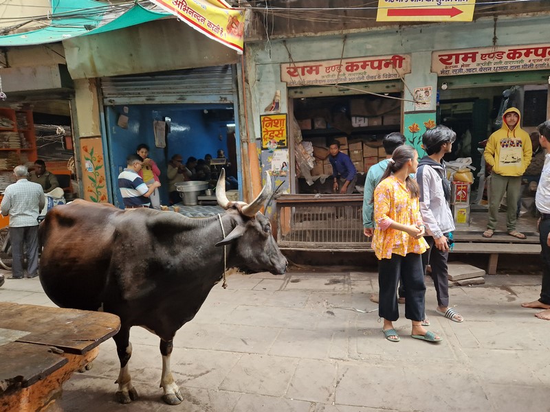 20231225_111156 (Kopiowanie).jpg