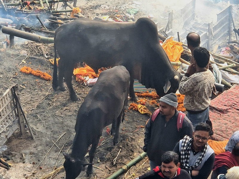 20231225_112624 (Kopiowanie).jpg