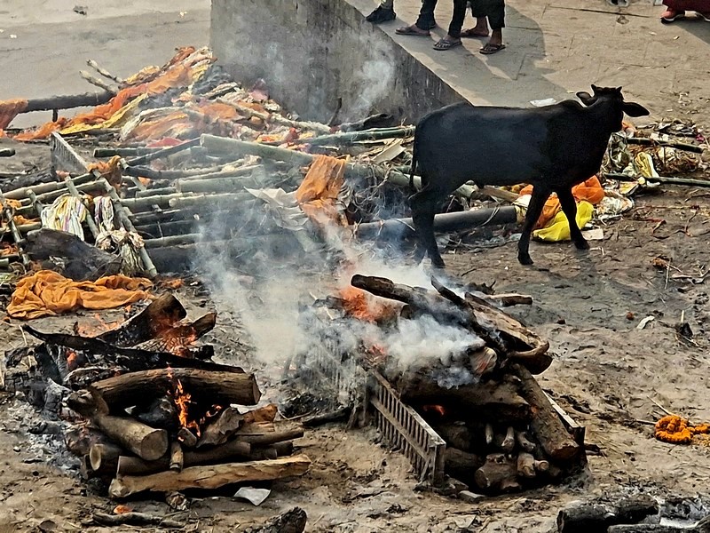 20231225_112703 (Kopiowanie).jpg