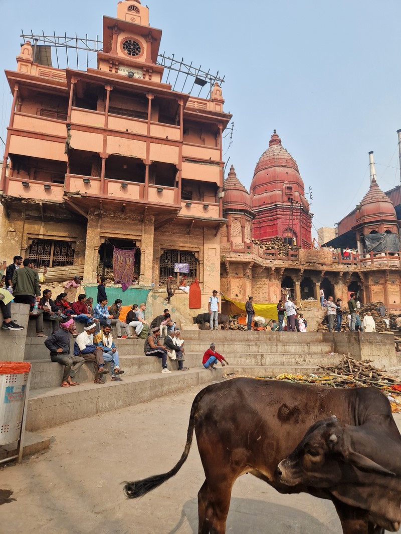 20231225_113705 (Kopiowanie).jpg