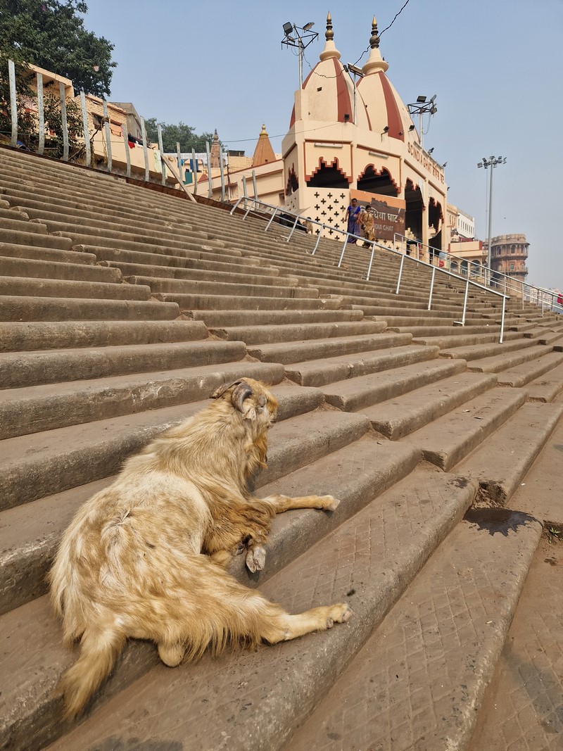 20231225_114747 (Kopiowanie).jpg