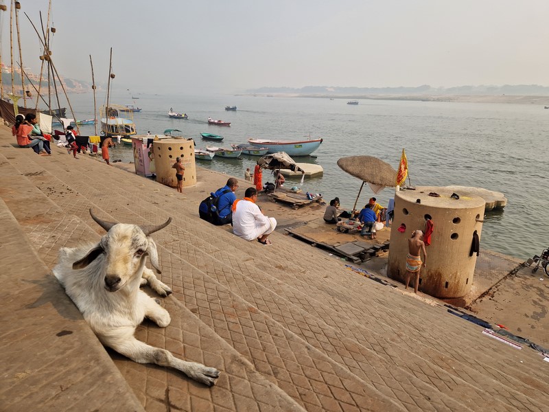 20231225_114906 (Kopiowanie).jpg