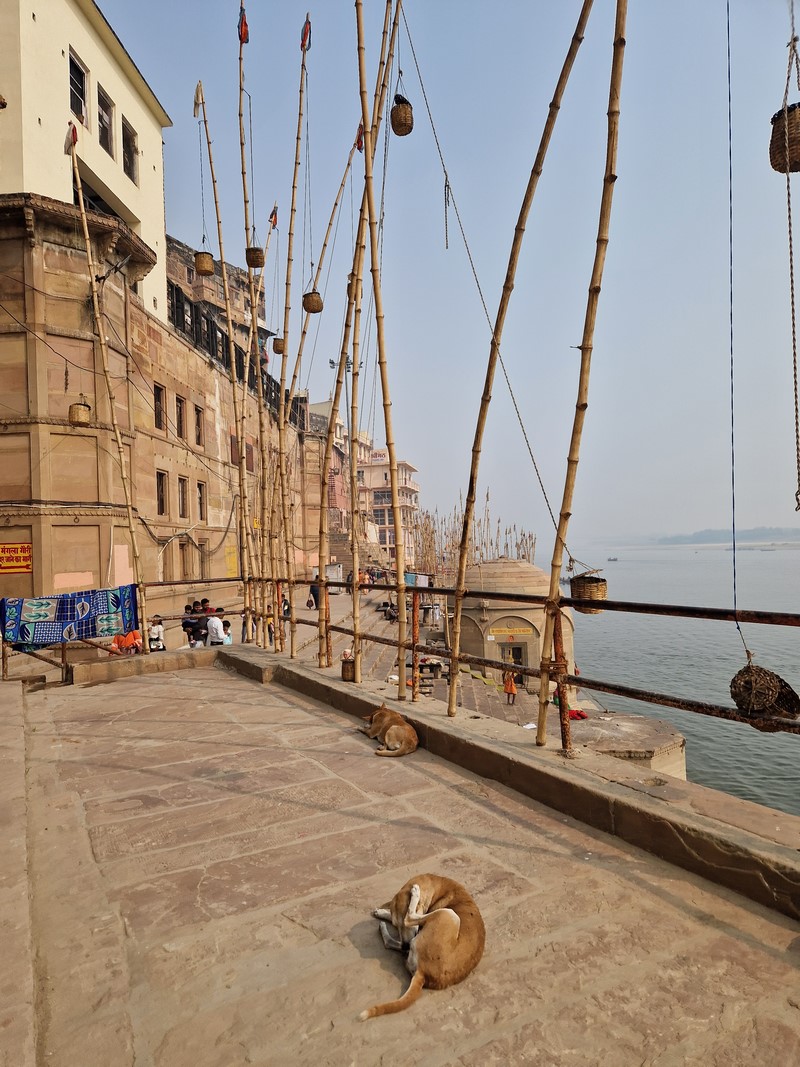 20231225_115823 (Kopiowanie).jpg