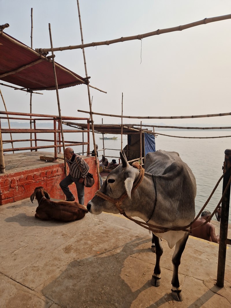 20231225_120414 (Kopiowanie).jpg