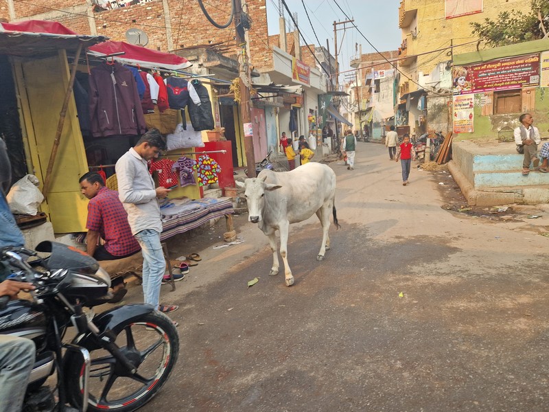 20231225_142956 (Kopiowanie).jpg