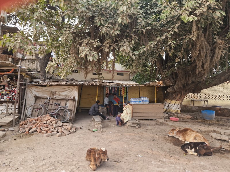 20231225_143348 (Kopiowanie).jpg