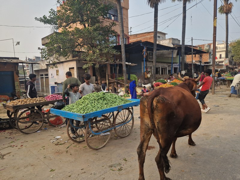 20231225_143656 (Kopiowanie).jpg