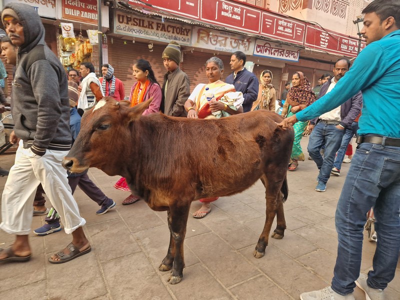 20231226_073410 (Kopiowanie).jpg