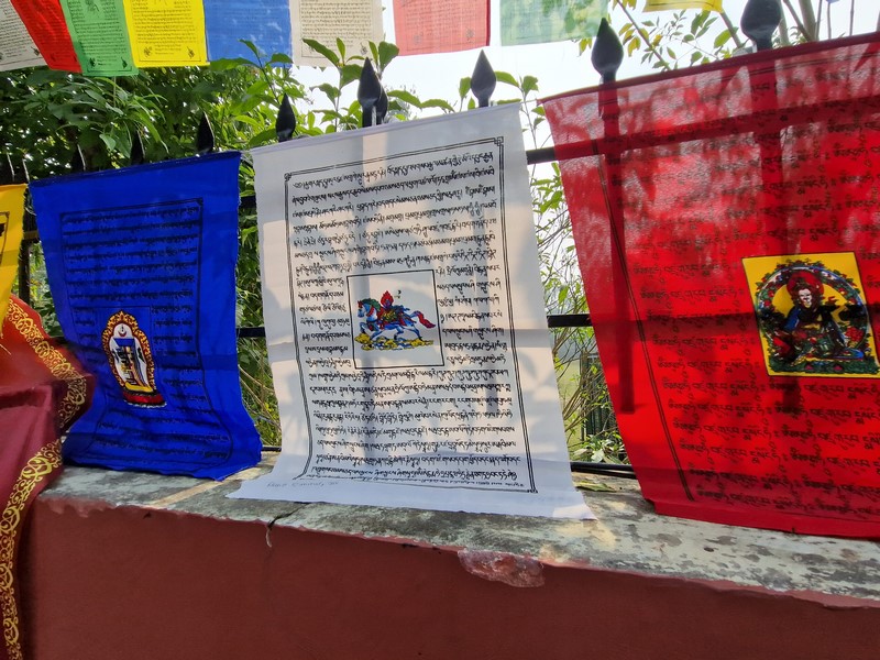 20231226_121458 (Kopiowanie).jpg