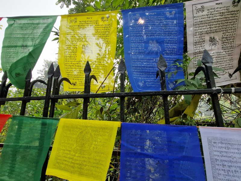 20231226_121523 (Kopiowanie).jpg